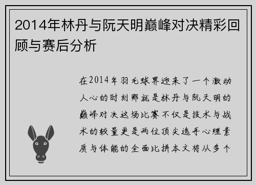 2014年林丹与阮天明巅峰对决精彩回顾与赛后分析